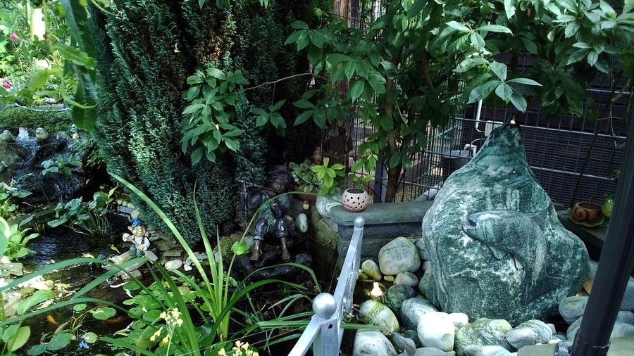 Wasser und Garten 15