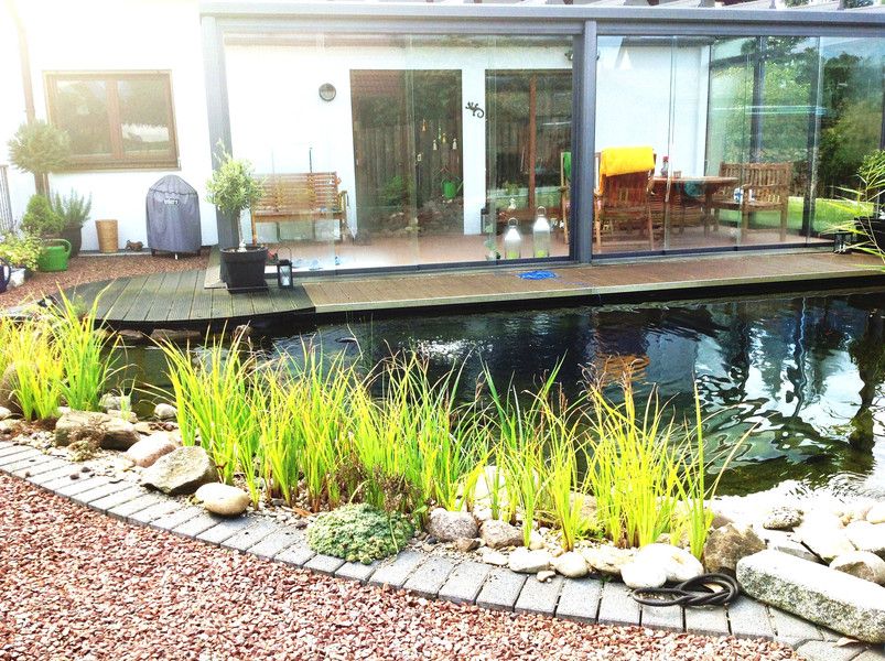 Wasser und Garten 10