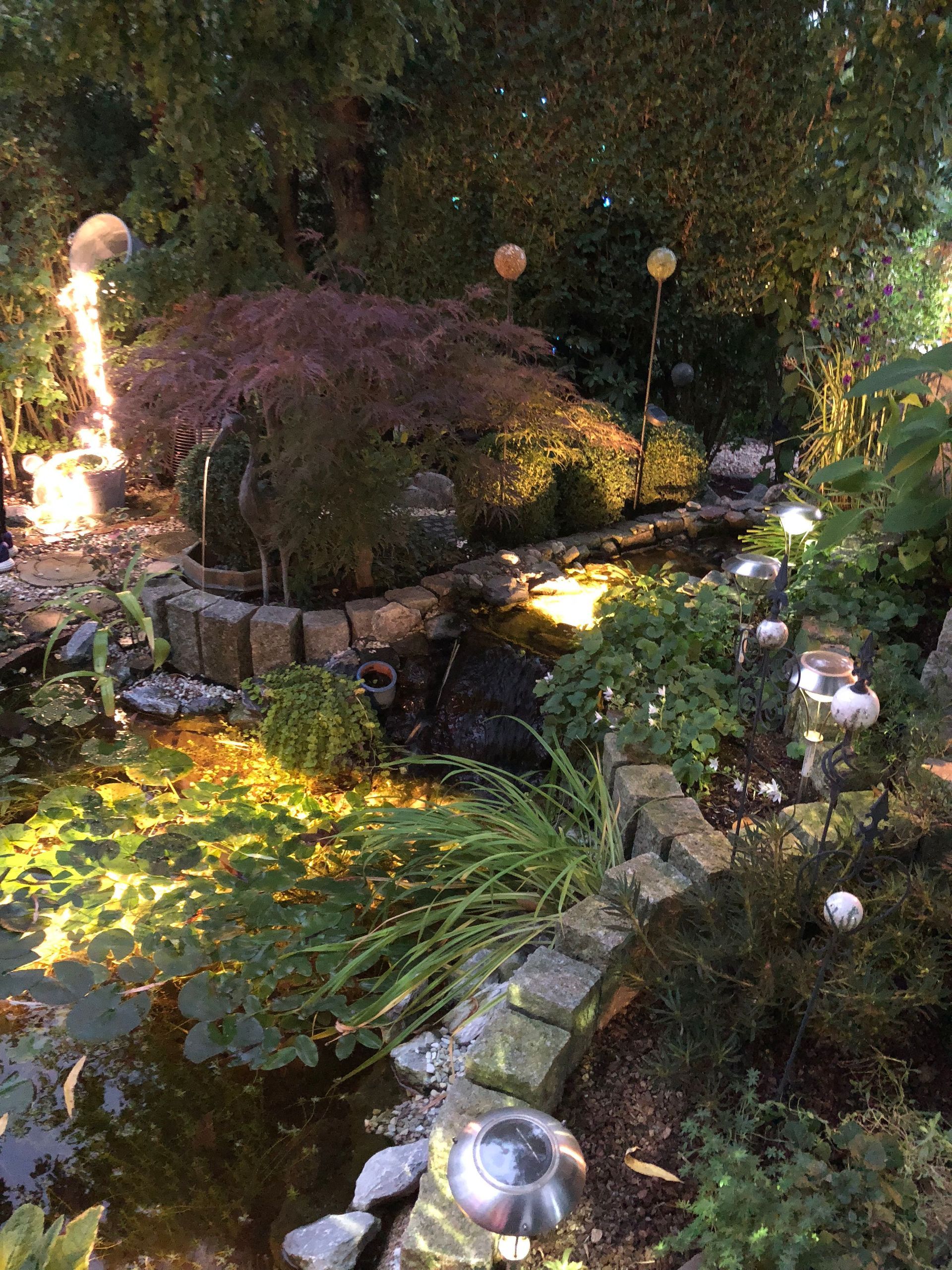 Abendidylle im Garten