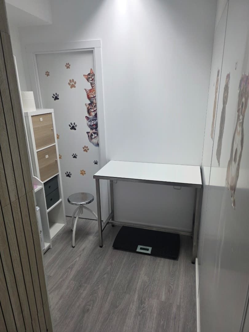Consulta veterinaria. Mesa blanca, taburete y báscula en el suelo. Huellas de gato en la puerta y la pared.