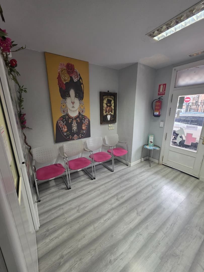 Sala de espera con sillas con cojines rosas, arte en la pared y una puerta al exterior.