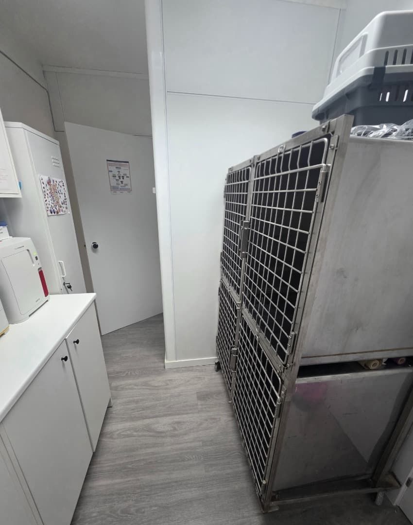 Interior de clínica veterinaria: jaulas de acero inoxidable para animales, armarios y una puerta que da a un pasillo.