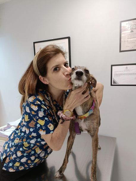 Una mujer besa a un perro en una clínica veterinaria. La mujer lleva una bata azul estampada y una diadema; el perro es marrón y blanco.