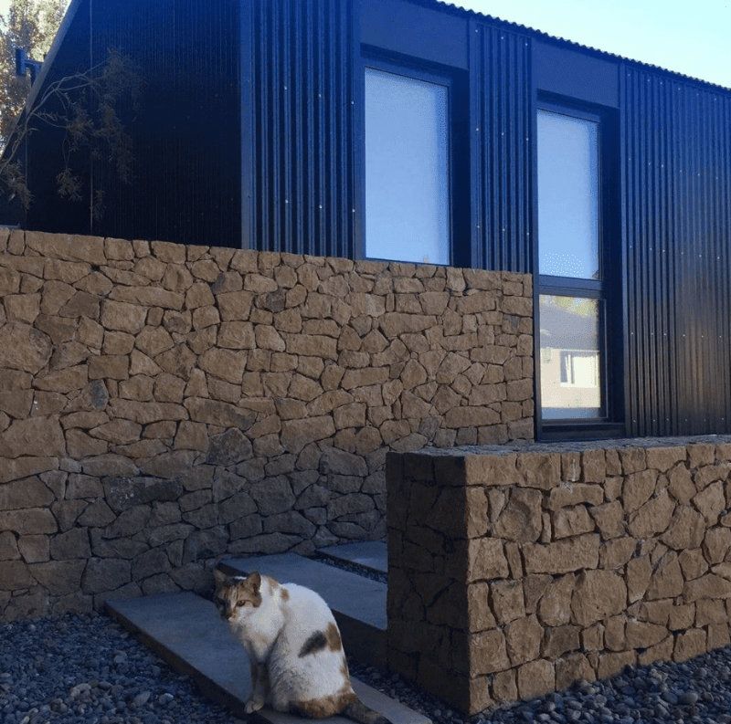 Un gato está sentado frente a un muro de piedra.