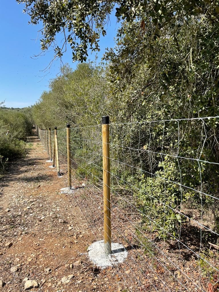 Una valla rodea un camino de tierra en medio de un bosque.