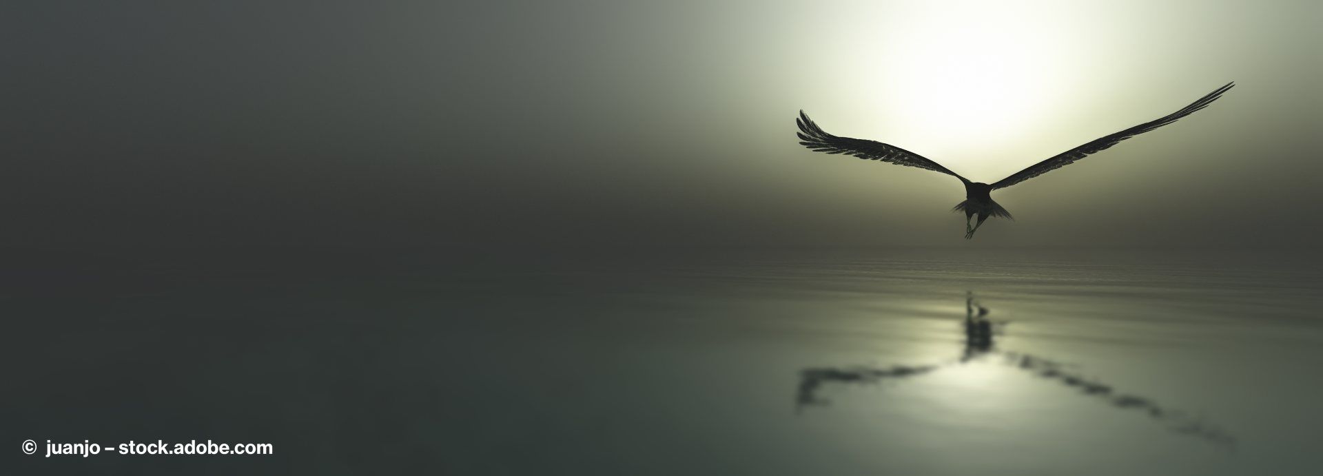 Coaching - Ein Adler fliegt auf das Meer hinaus