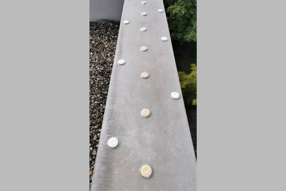 Biersack GmbH Köderverteilung