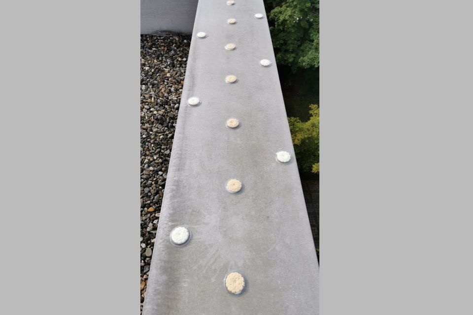 Biersack GmbH Vogelabwehr