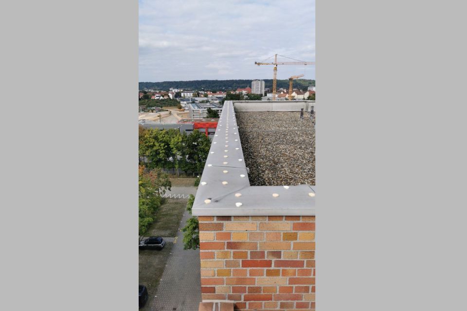 Biersack GmbH Taubenabwehr