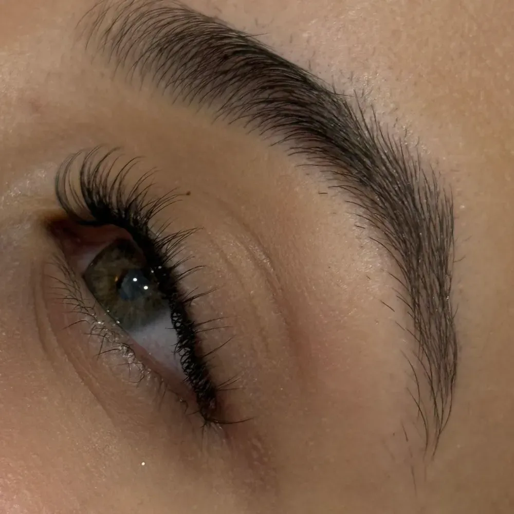 Primer plano de un ojo con pestañas largas y una ceja bien cuidada.