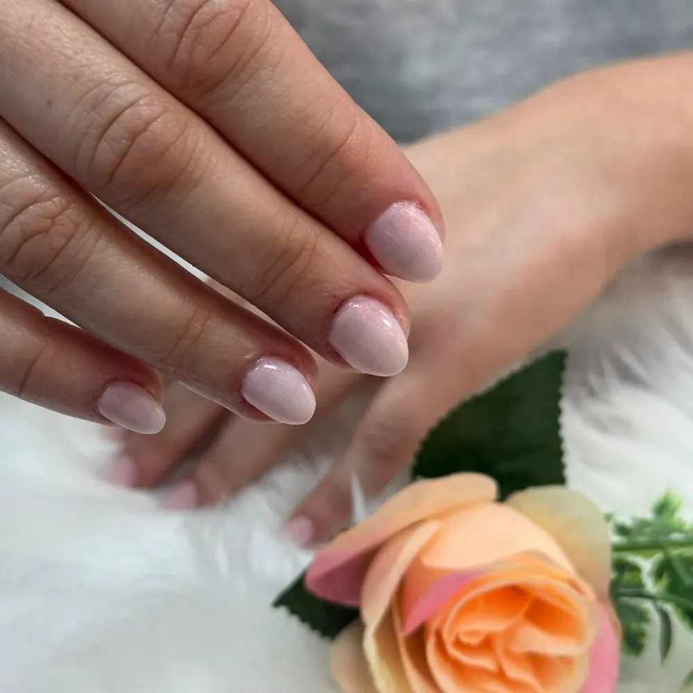 Uñas ovaladas cuidadas y pintadas de rosa claro. La mano descansa sobre una rosa melocotón.