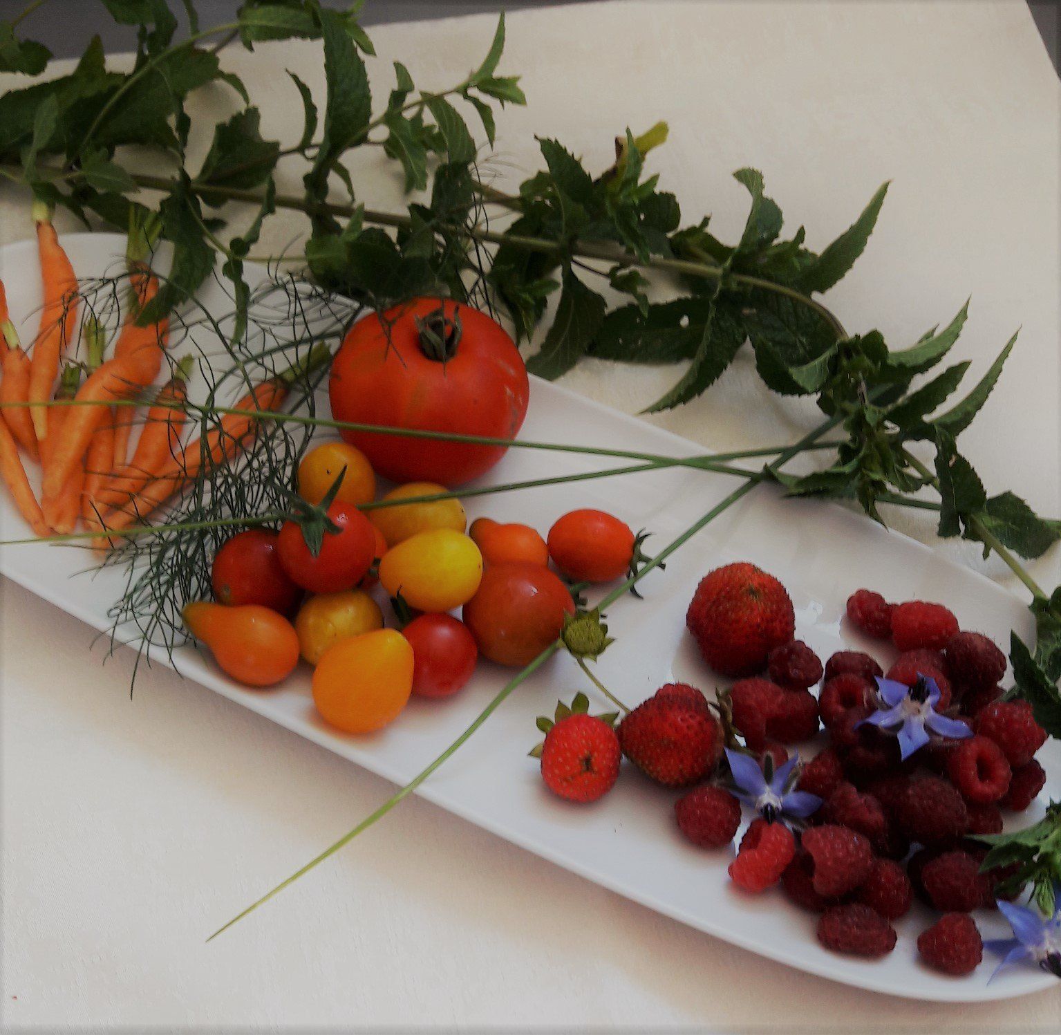 légumes du jardin_ la taverne du chateau