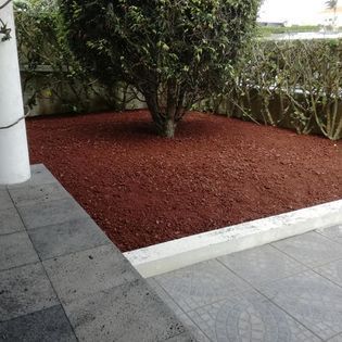 Uma árvore num jardim cercada por cobertura vermelha.