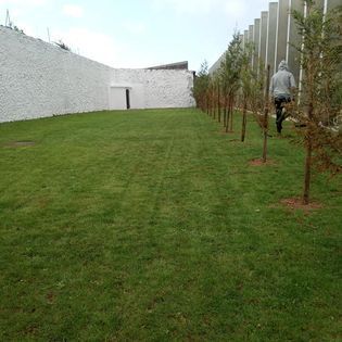 Homem a caminhar por um campo de relva.