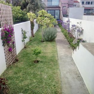 Um jardim com um corredor de cimento e outro de relva, que levam a um edifício.