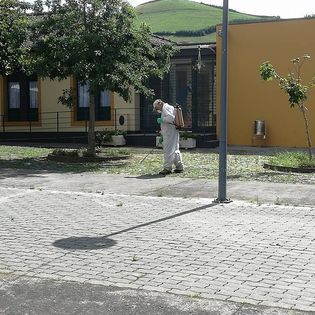 Um homem a recolher folhas secas de um jardim em frente a um prédio amarelo