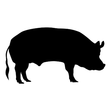 Una silueta negra de un cerdo sobre un fondo blanco.