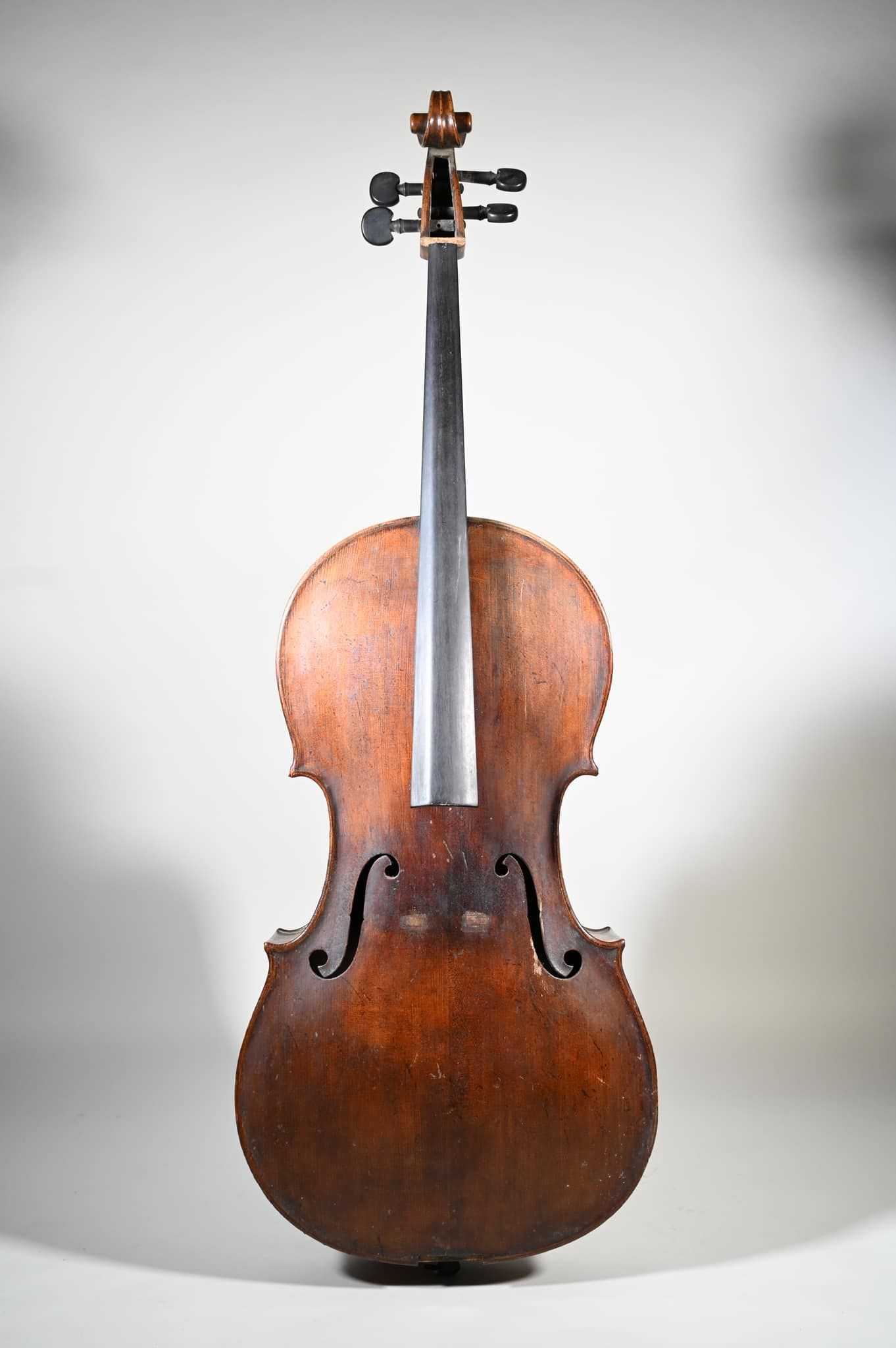 Violon avec vernis brun foncé sur fond gris clair.