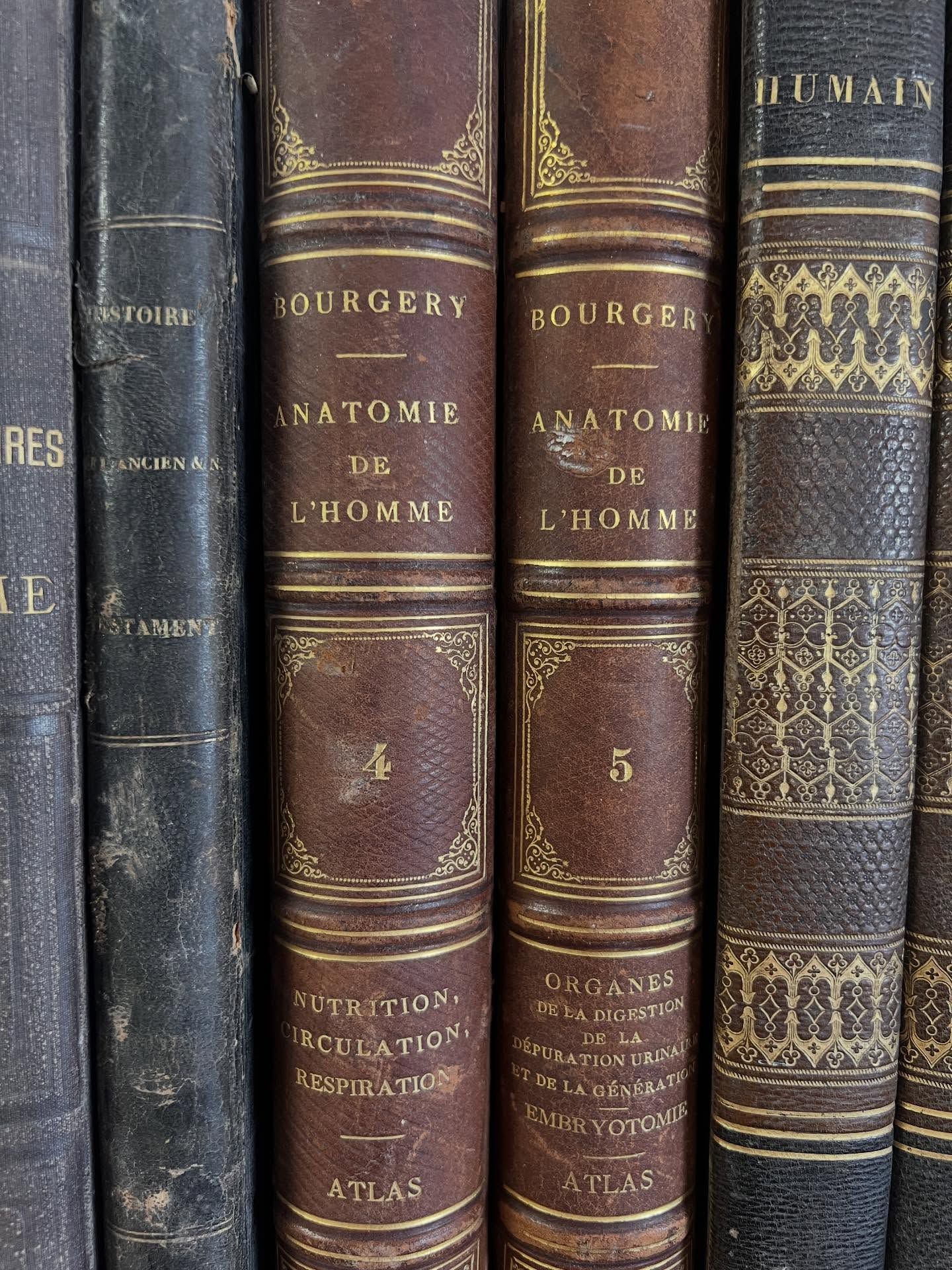 Gros plan sur de vieux livres reliés en cuir à lettres dorées sur une étagère.