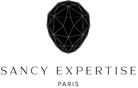 Logo de l'entreprise Sancy Expertise