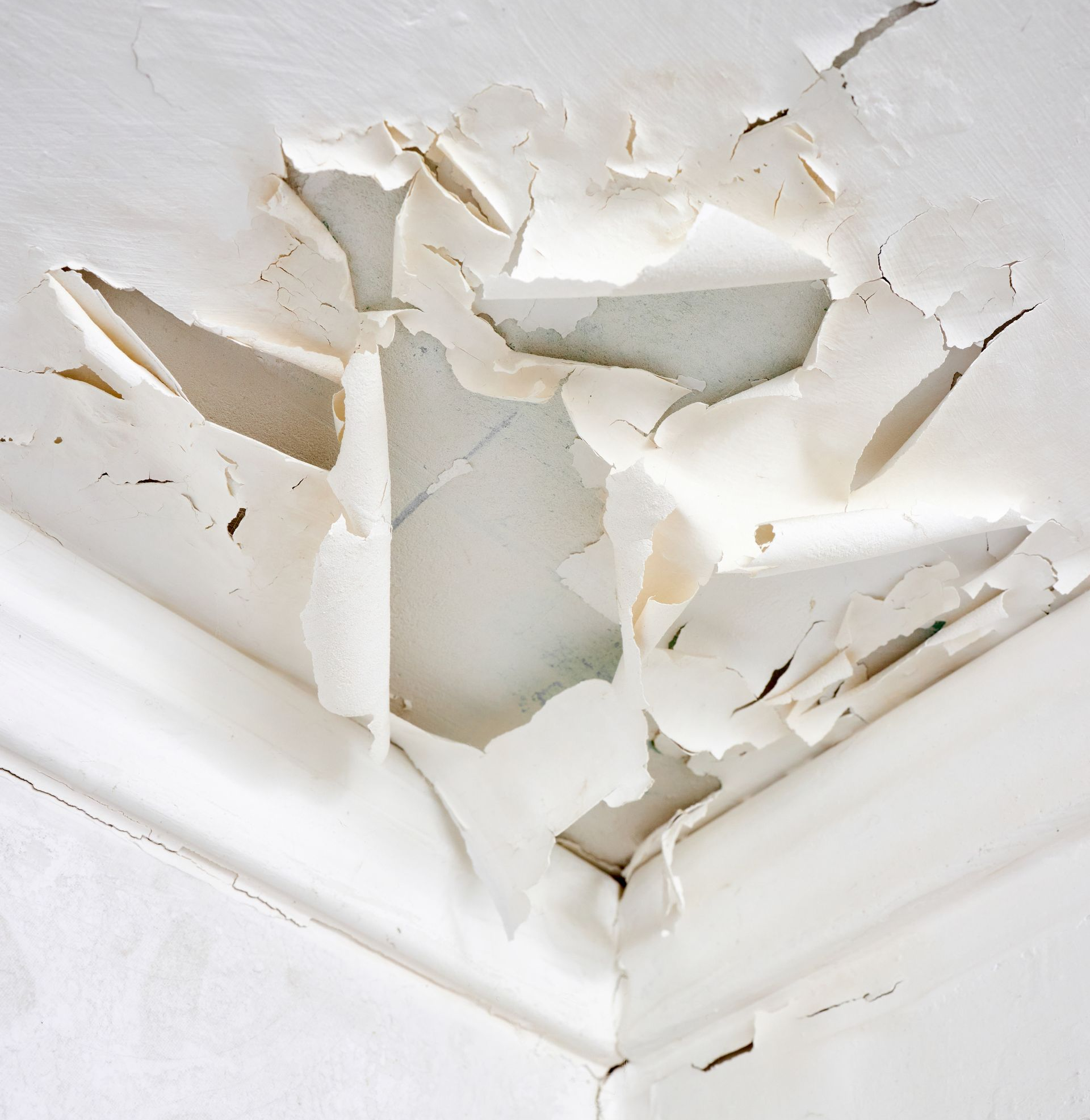 Un dégât des eaux par le  plafond