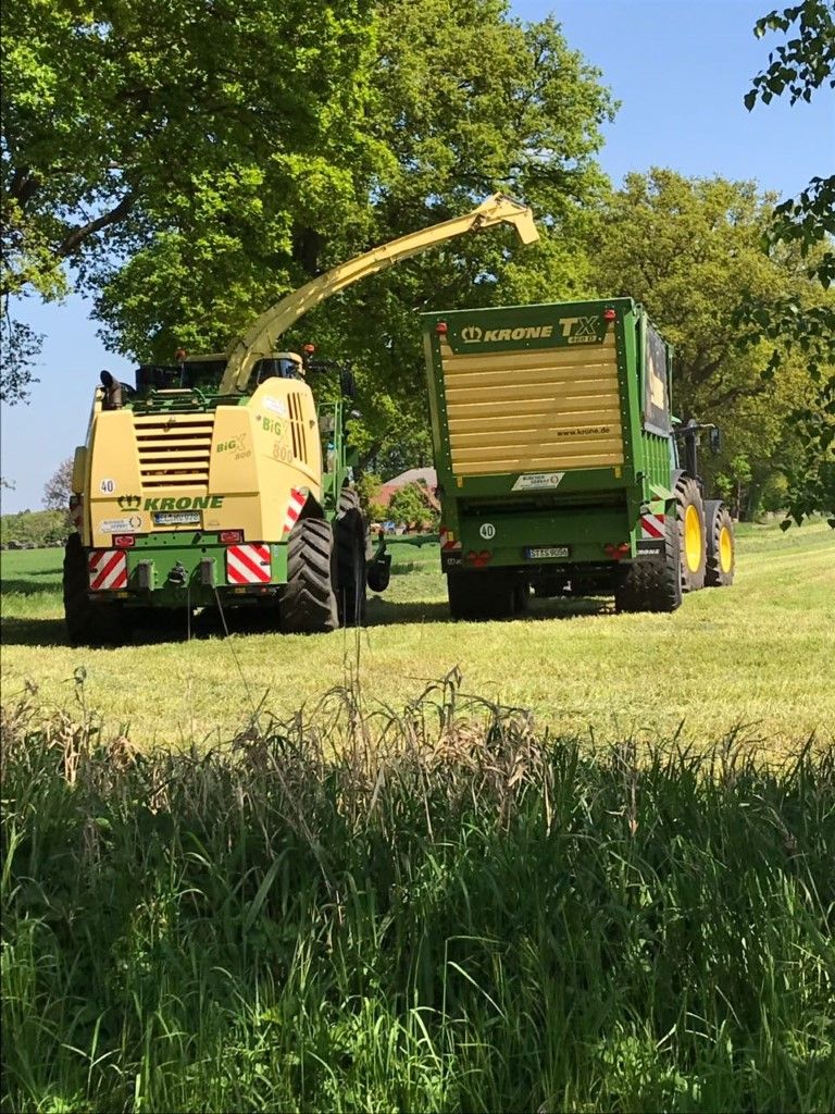 Büscher-Seifert | Mettingen