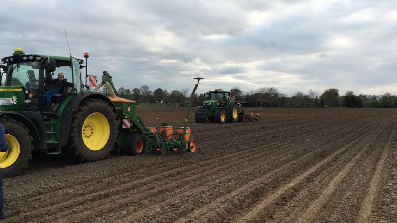 Büscher-Seifert | Mettingen