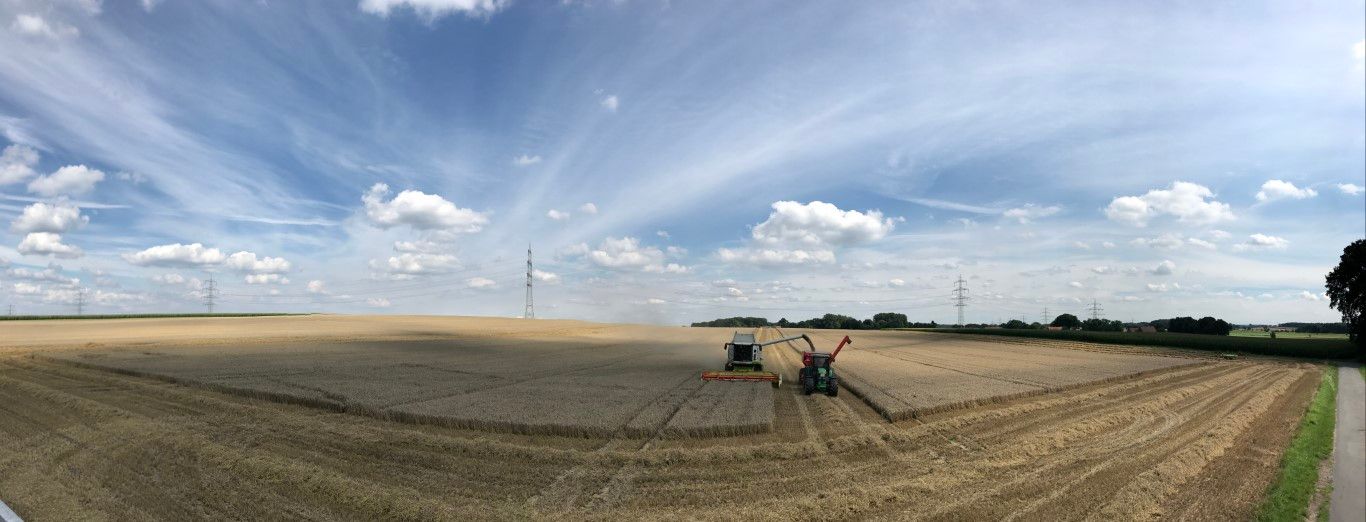 Büscher-Seifert | Mettingen