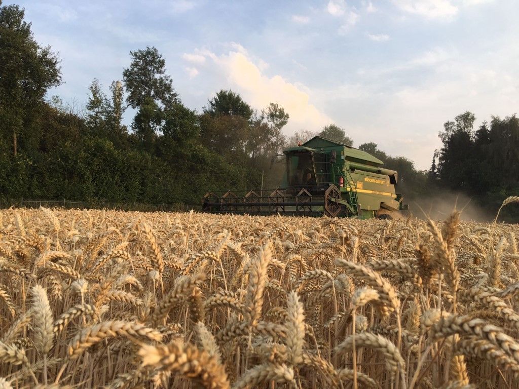 Büscher-Seifert | Mettingen