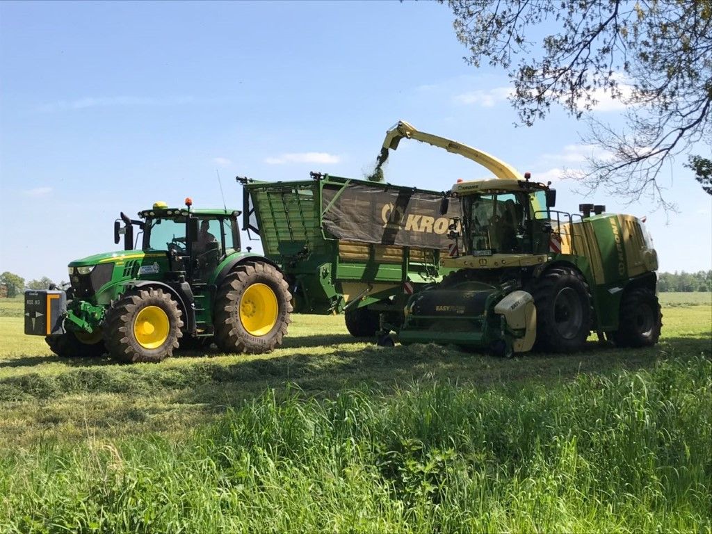 Büscher-Seifert | Mettingen