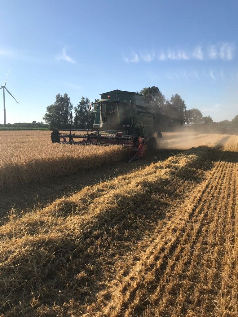 Büscher-Seifert | Mettingen