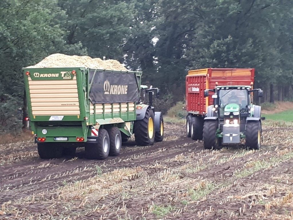 Büscher-Seifert | Mettingen