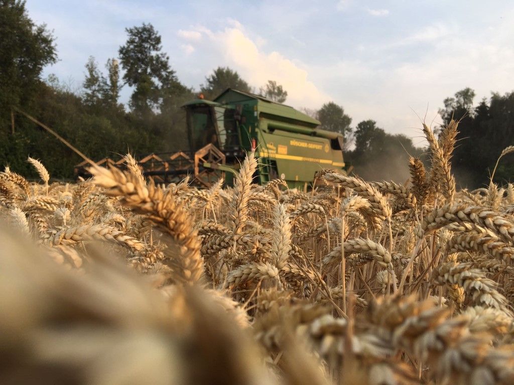 Büscher-Seifert | Mettingen