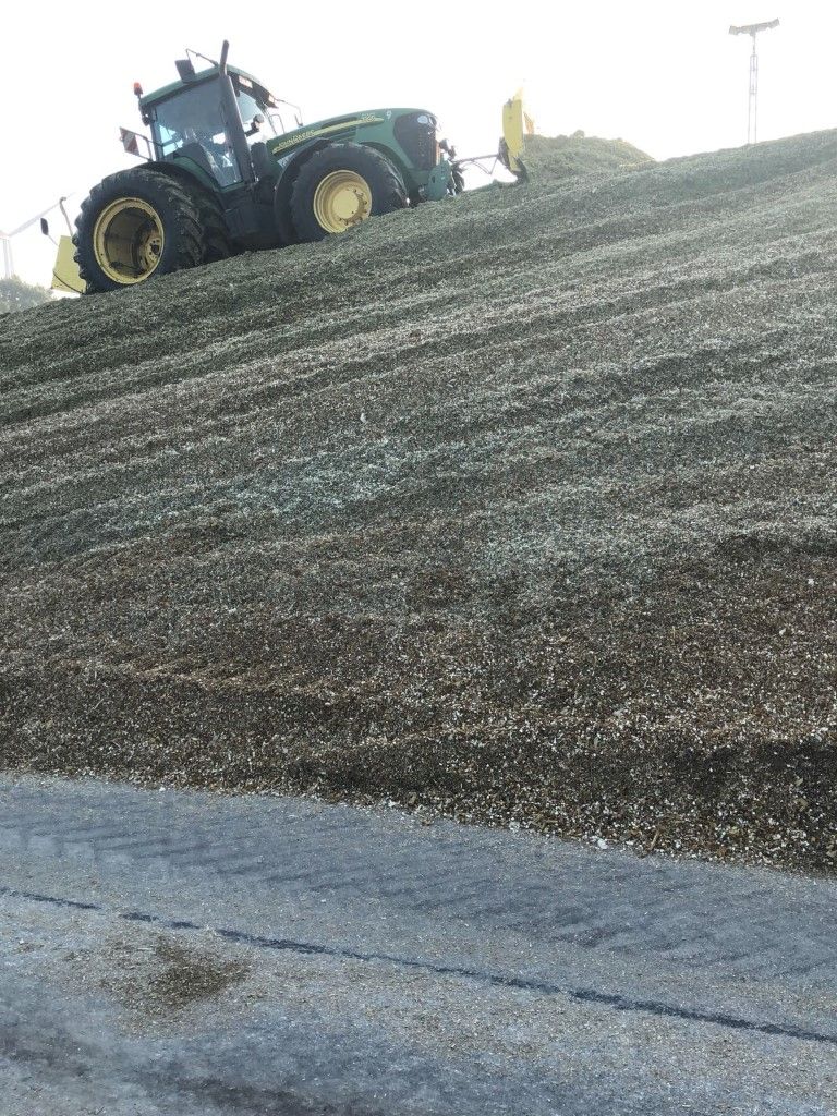 Büscher-Seifert | Mettingen