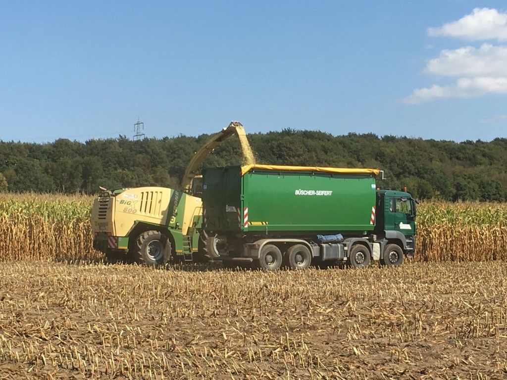 Büscher-Seifert | Mettingen