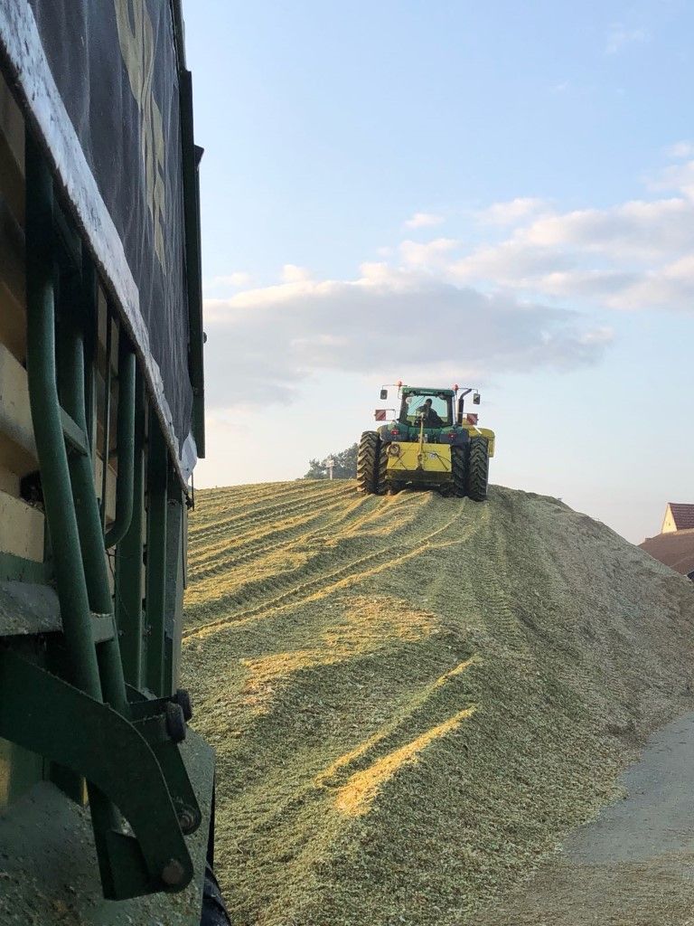 Büscher-Seifert | Mettingen