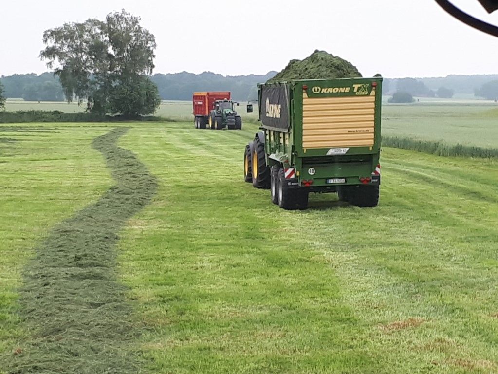 Büscher-Seifert | Mettingen