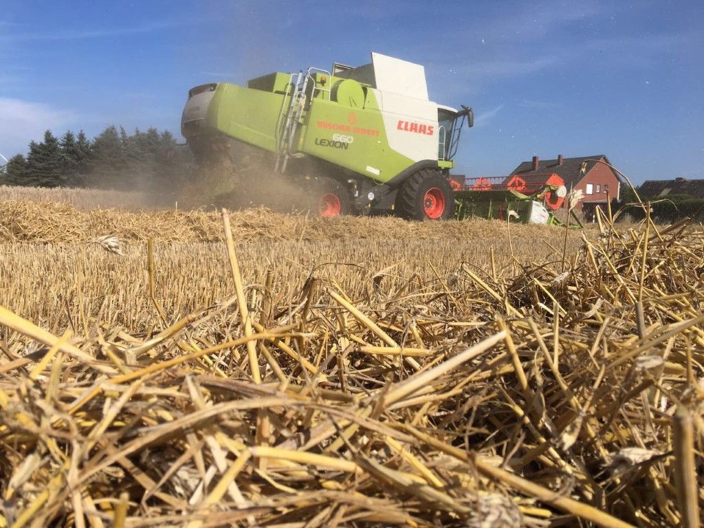 Büscher-Seifert | Mettingen