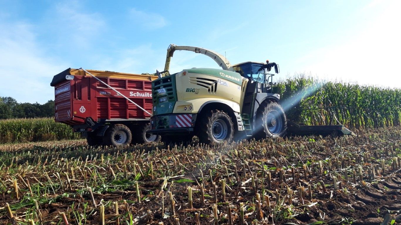 Büscher-Seifert | Mettingen