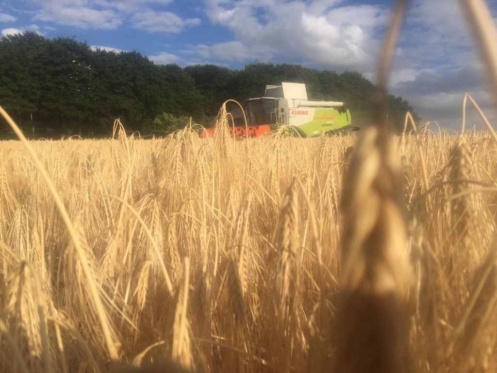 Büscher-Seifert | Mettingen