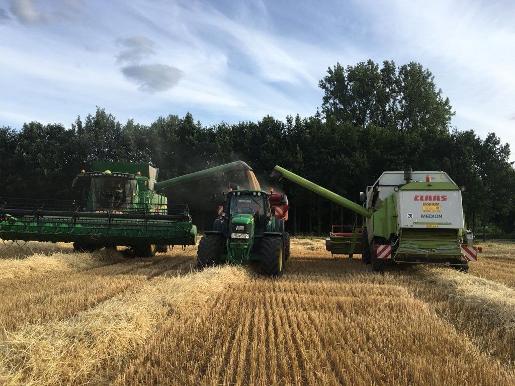 Büscher-Seifert | Mettingen