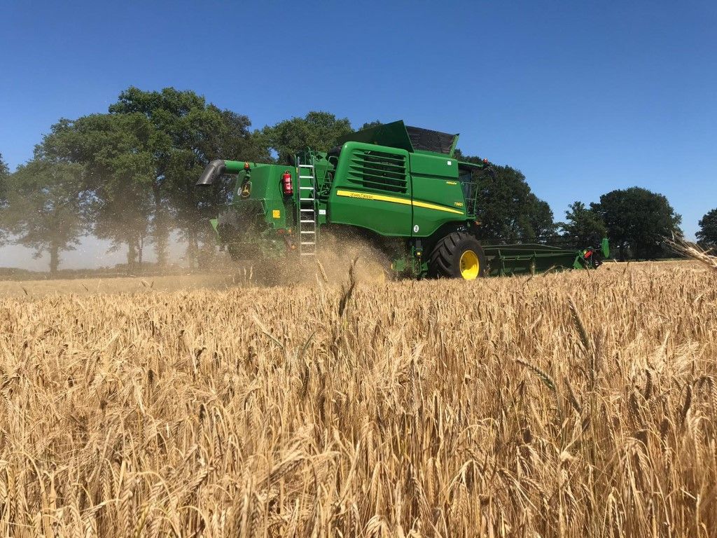 Büscher-Seifert | Mettingen