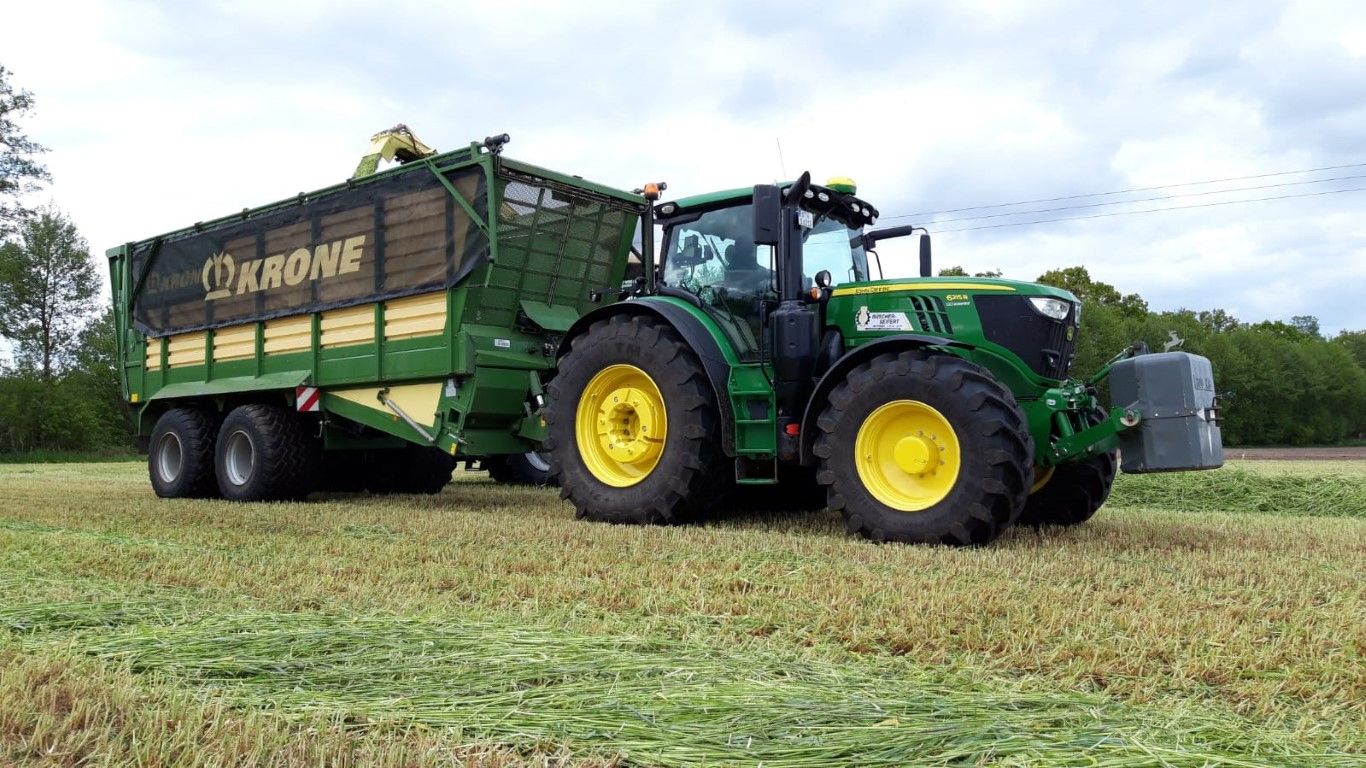 Büscher-Seifert | Mettingen