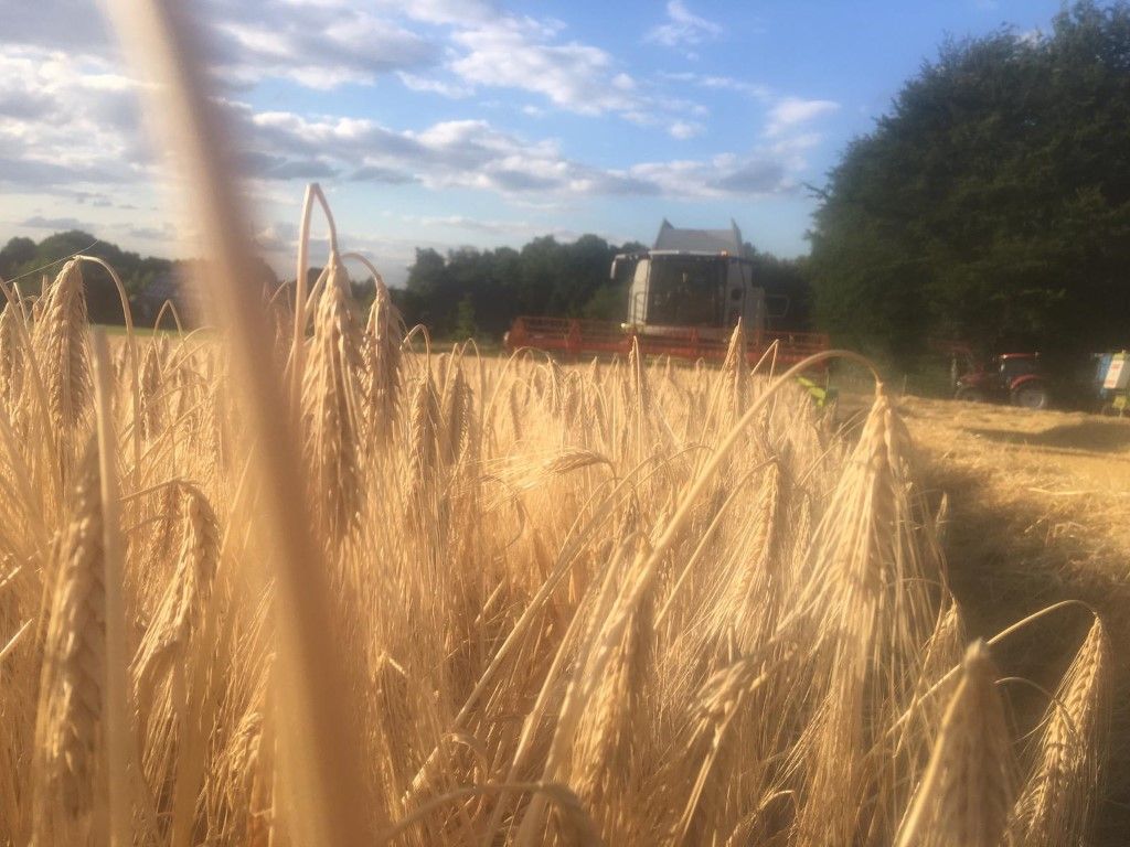 Büscher-Seifert | Mettingen