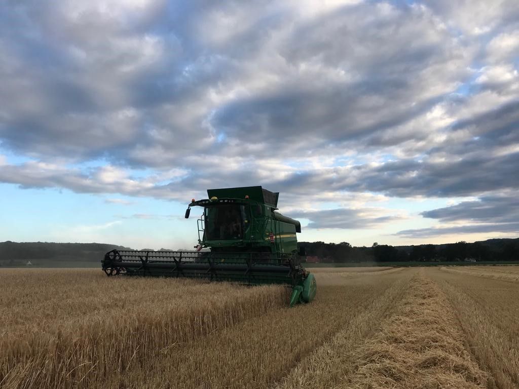 Büscher-Seifert | Mettingen