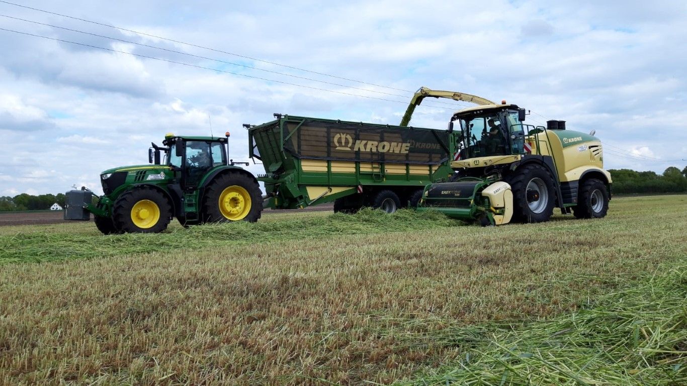 Büscher-Seifert | Mettingen