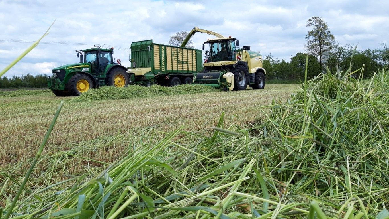 Büscher-Seifert | Mettingen