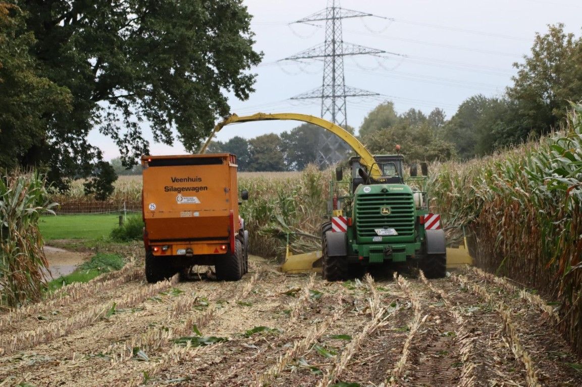 Büscher-Seifert | Mettingen