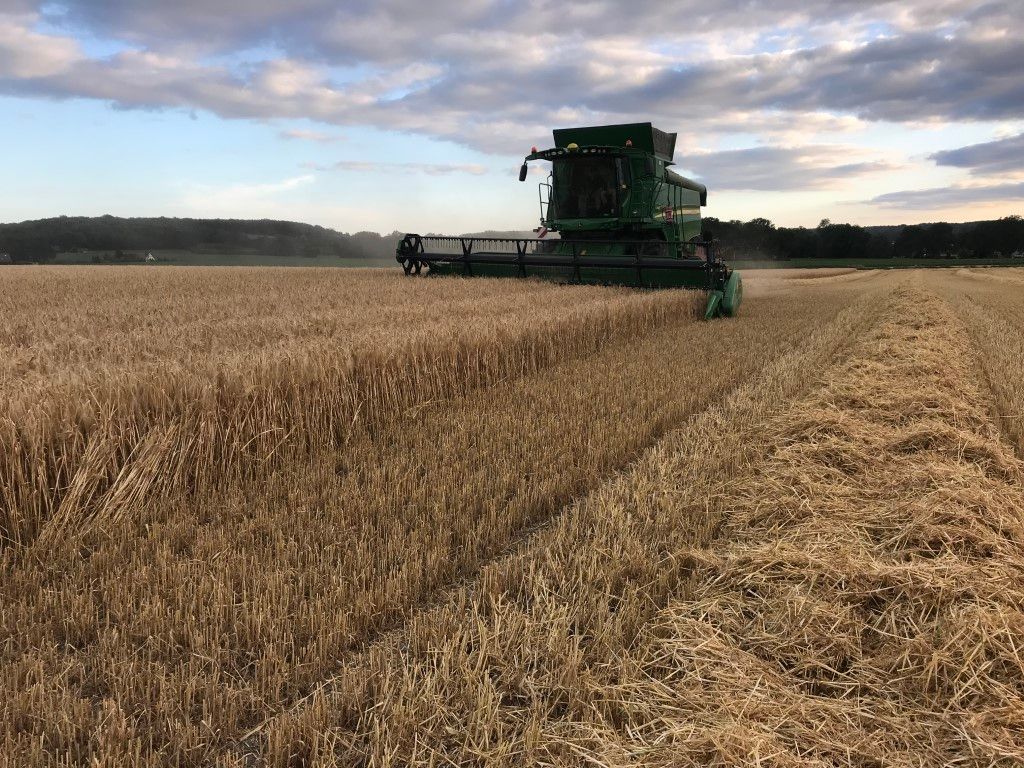 Büscher-Seifert | Mettingen