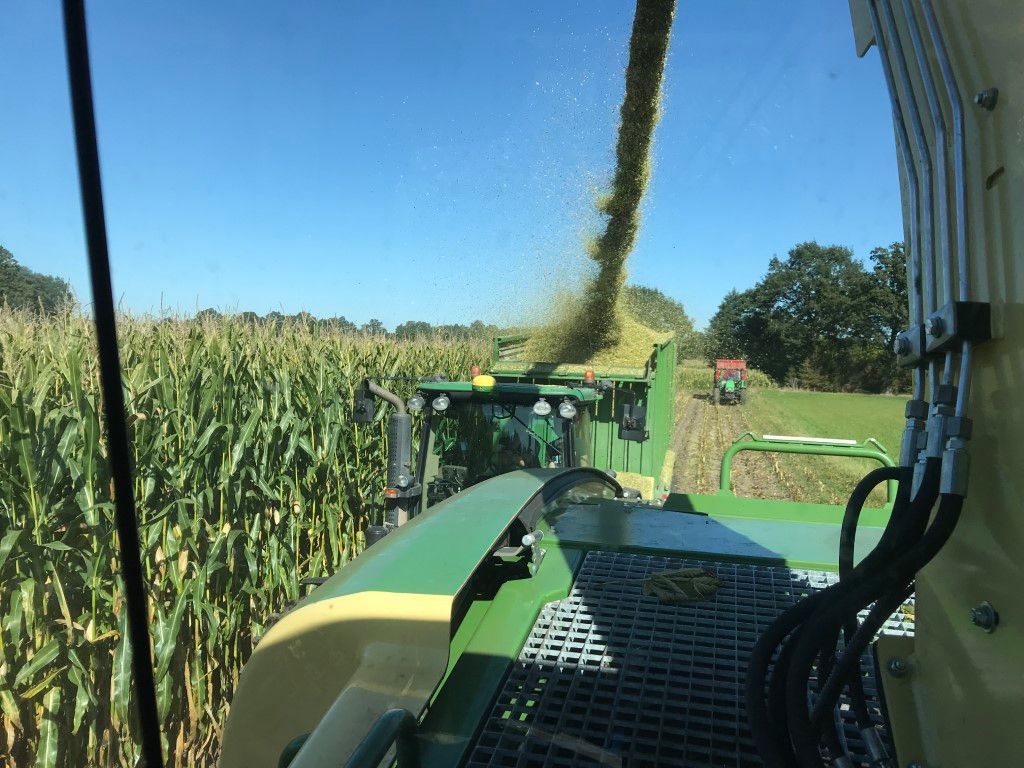 Büscher-Seifert | Mettingen